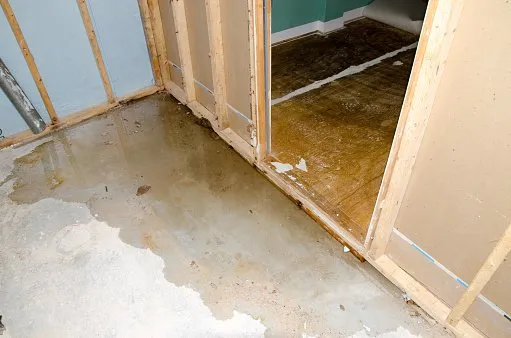 Sewage Damage Cleanup